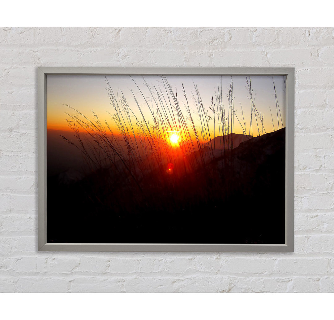 Dusk Through The Reeds - Einzelbildrahmen Kunstdrucke auf Leinwand