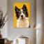 Border collie adorable Brampt-117580080