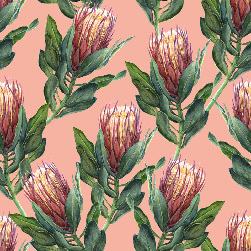 " Protea Flower Pattern " Painting Print, 20" H x 20" W