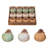  Dolomite 2.25 in. Multicolor Harvest Iridescent Pumpkin Decor in Display Set of 12
