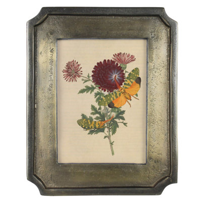 Beveled Frame, Brass & Black - 5X7