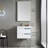 Tyonna 23.88 " W Free Standing Wall Mounted Single Double Single Vanity Bathroom Vanity With Acrylic Top with Mirror-723432012