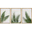 «Minimal Botanical Green Tropical Jungle Palm Tree Leaf Botanical Simple Décor», reproduction d'art encadrée sur toile 3 pièces-87392554-87392556-119395209