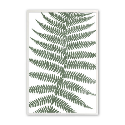 " Verde Rhapsody IV "