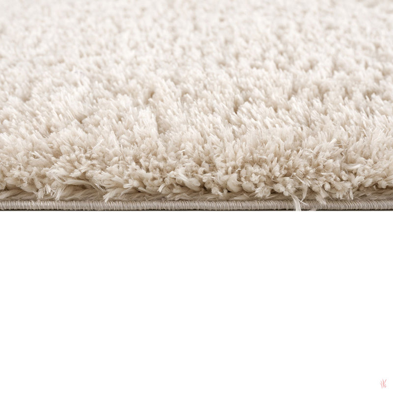 Super Soft Polyester Shag Area Rug, Rectangle 6'6" x 9'