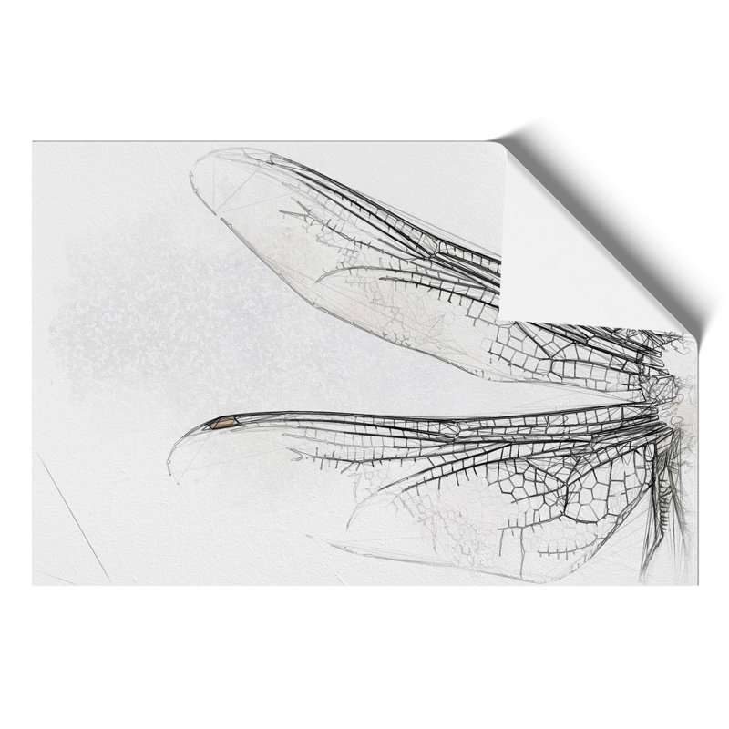 Dragonfly Vol.1 Sketch - No Frame Print, 30cm H x 42cm W x 0.1cm D