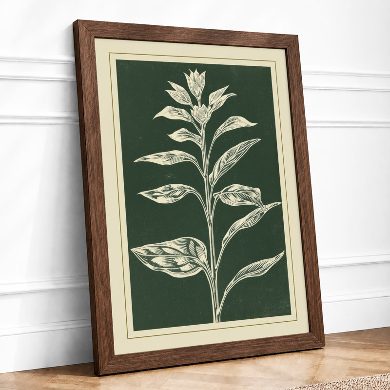 Single Stem in White Botanical - Framed Print, A2 - 59.4 x 42.0 cm, Walnut