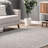 Machine Washable Light Gray Area Rug-1302210214