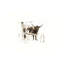 Art mural en toile 24 po x 18 po Longhorn Study