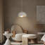 Unusual Pendant Light 1-Light Colbee