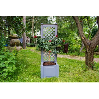 Planter Box