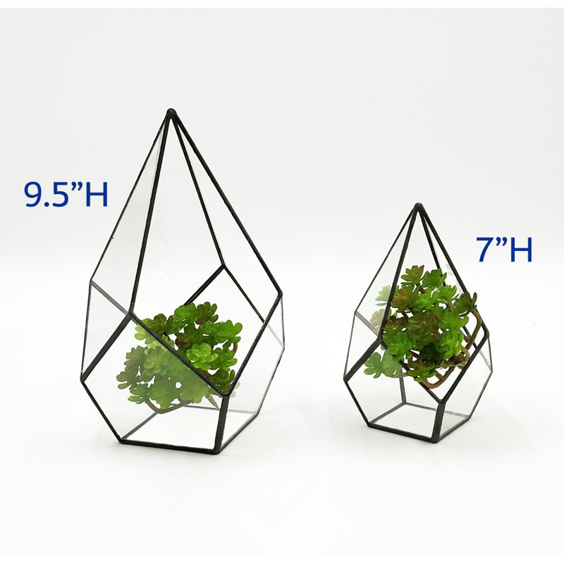 Terrarium en verre succulent de table Norton St Philip, Noir, H 9,5 po x l 6,5 po x P 6,5 po