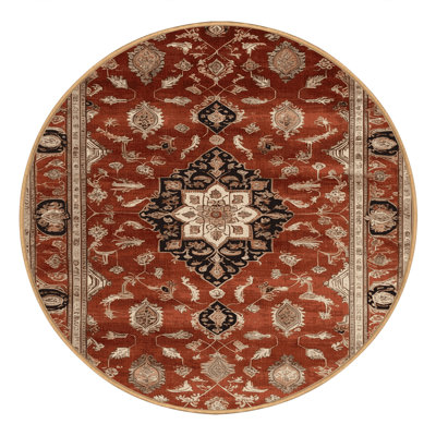 Machine Washable Turkish Brown Area Rug