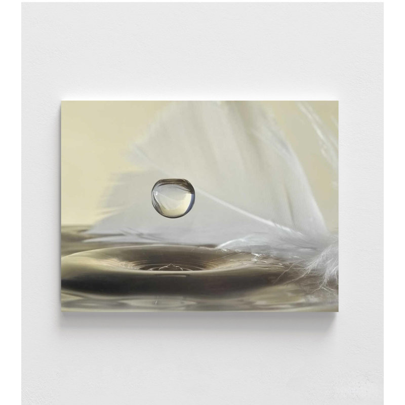 Impression murale minimaliste - Plume et gouttelette sur l'eau, H 8 po x l 10 po, Ne s’applique pas, Ne s’applique pas