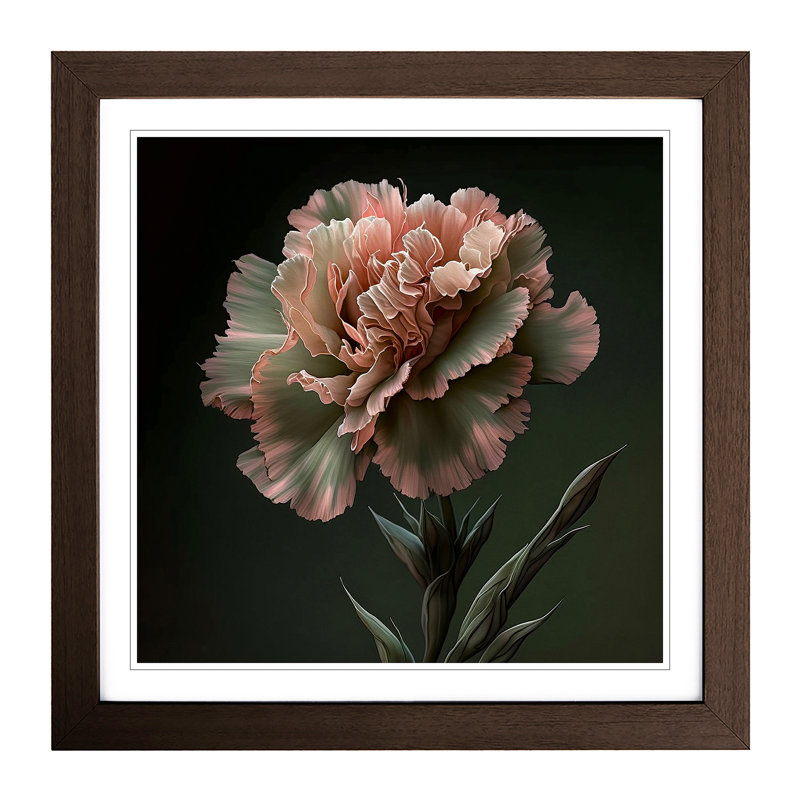 Carnation Flower Realism - Framed Print, Walnut