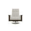 Leeward Polymer Outdoor Lounge Chair-33236547-29739040