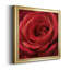 Solo Solo - photographie sur toile encadrée-96482039-96482044