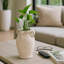 Ceramic/Porcelain Table Vase-1242282051-1253066389
