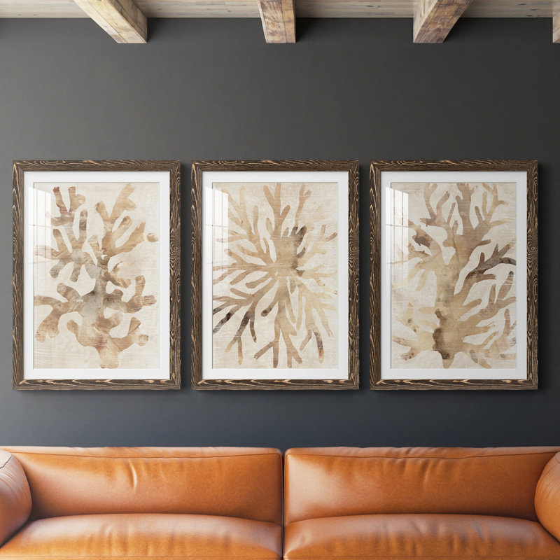 Parchment Coral I - ensemble de 3 reproductions de cadres photo, H 24 po x l 54 po x P 1,5 po, Noyer