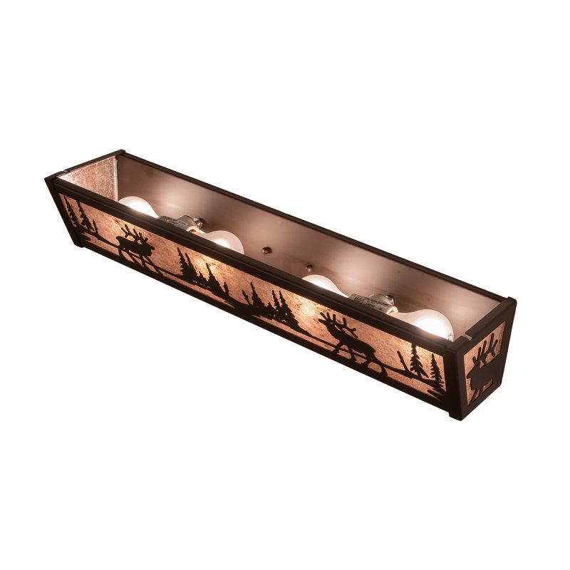 4 - Light Vanity Light, Silver, Oil Rubbed Bronze
