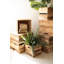  Ensemble de 6 tablettes décoratives cubiques en bois pour le style