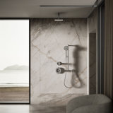 Contemporary Rain Shower Head