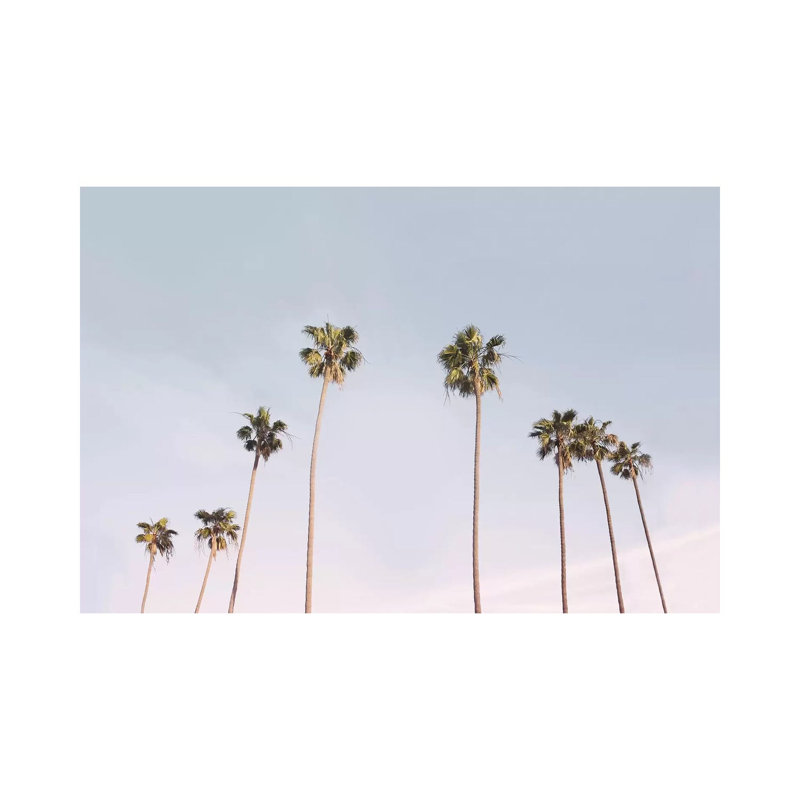 California Trees by Sisi & Seb - Wrapped Canvas Print, 20.32 cm H x 30.48 cm W