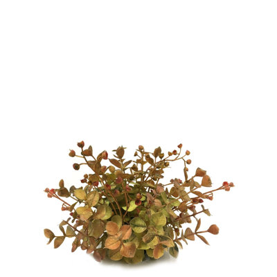 Bourre vase eucalyptus Bellow