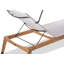 Andes 27.5'' Outdoor Chaise Lounge
