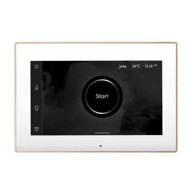 iSteamX Steam Shower Control and Steamhead