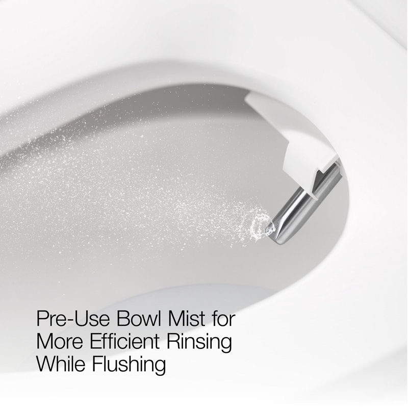 Siège de toilette bidet allongé Purewash E860
