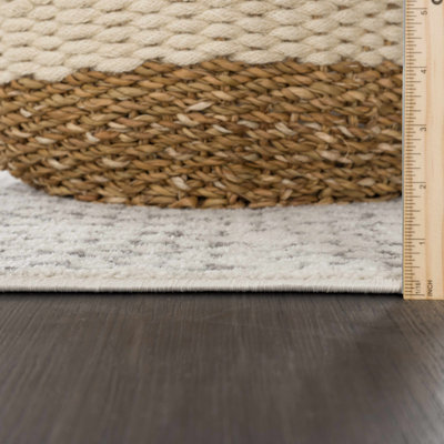 Aleix Southwestern Indoor Rug