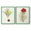 «Flowers of the Seasons VI», reproduction encadrée de qualité supérieure - prête à être accrochée - aucun clou requis - aucun clou requis-1092095836-1092095838
