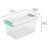 Sterilite Medium  & Large Clear Storage Tote