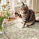 Floral Machine Washable Area Rug