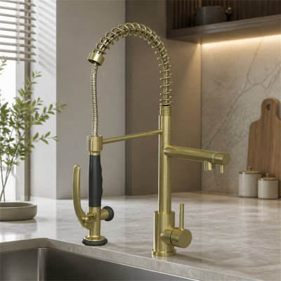 ROBOHIGH Kitchen Faucet Side Spray