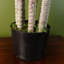75cm Faux Evergreen Plant in Pot Liner