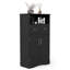 Accent Cabinet-1641006667