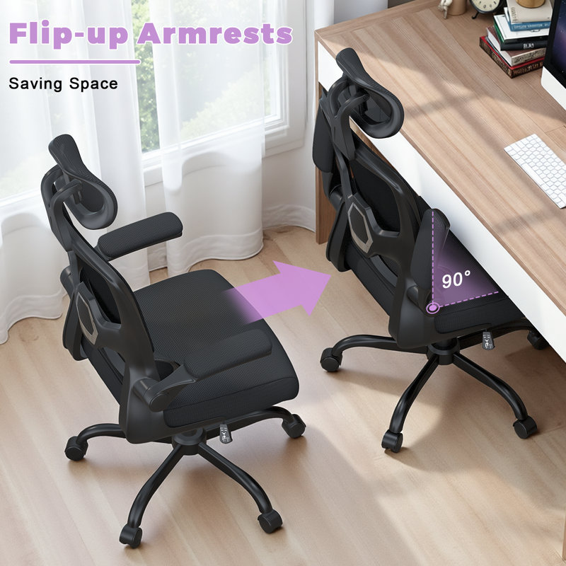 Motonobu Ergonomic Office Chair with Mesh Lumbar Support, Black