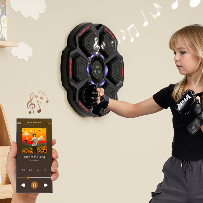 Wall Mount Music Boxing Target