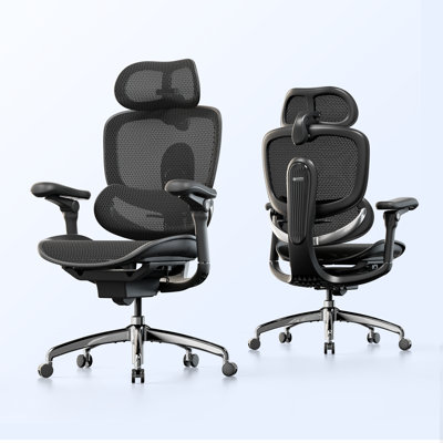 Brayden Studio Office Chair