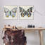  «Butterflies with Yellow», ensemble de 2 estampes numériques par Susan Arnot-1532210820-1532210819