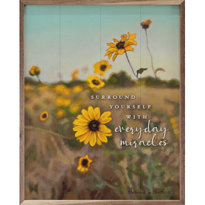 Everyday Miracles By Bonnie Mohr