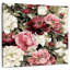 Pivoines multicolores-109221165