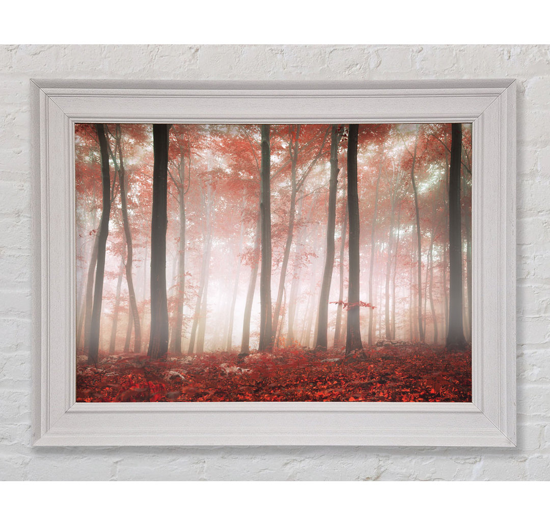 Gerahmter Druck: Red Misty Woods