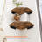 Corner Shelf Wall Mount, Set Of 4 Floating Corner Shelves With Cord Hole For Cable Box, Wood Corner Hanging Shelves For Bathroom Bedroom Kitchen, Rustic Brown