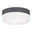 Cirque LED Outdoor Flush Mount-56359846