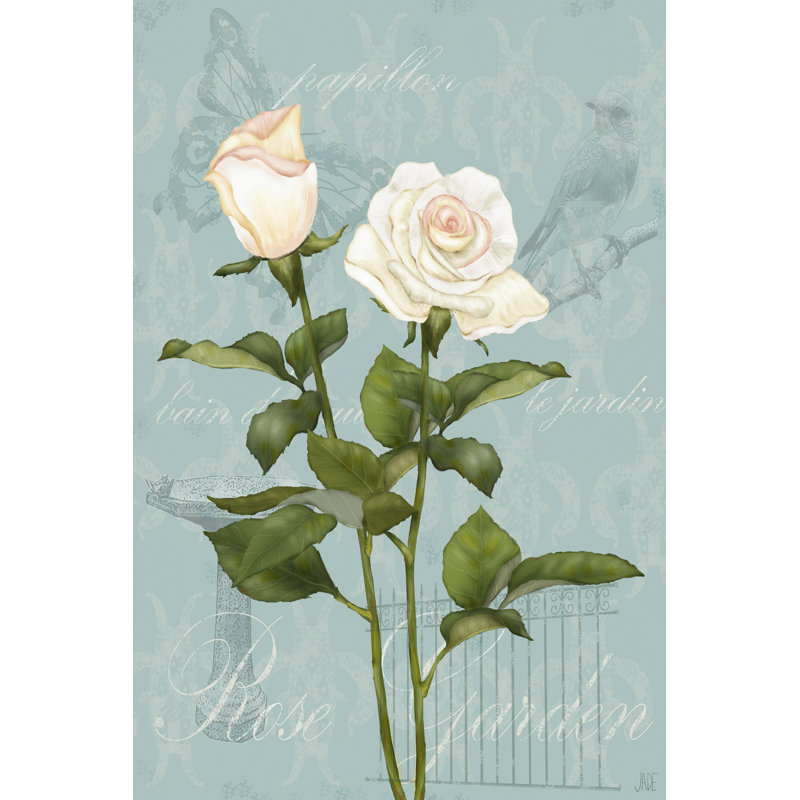 Cream Rose II - Wrapped Canvas Print, 30cm H x 20cm W