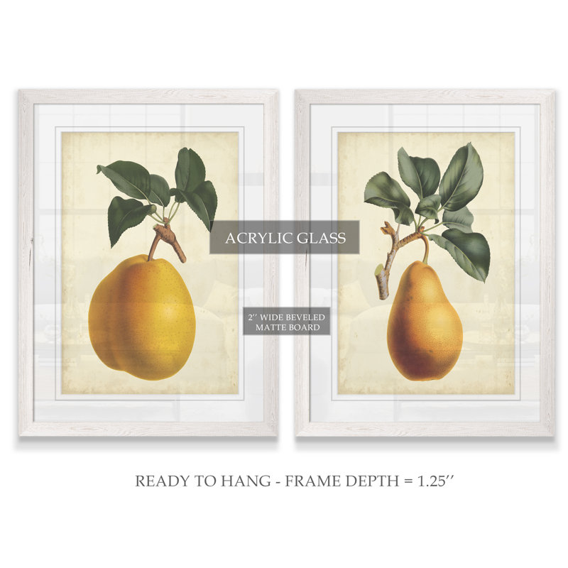 Antique Pear Botanical I par Vincent Van Gogh - ensemble de 2 reproductions d'art encadrées, H 20 po x l 16 po x P 1,25 po