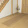 Acree Southwestern Indoor Area Rug